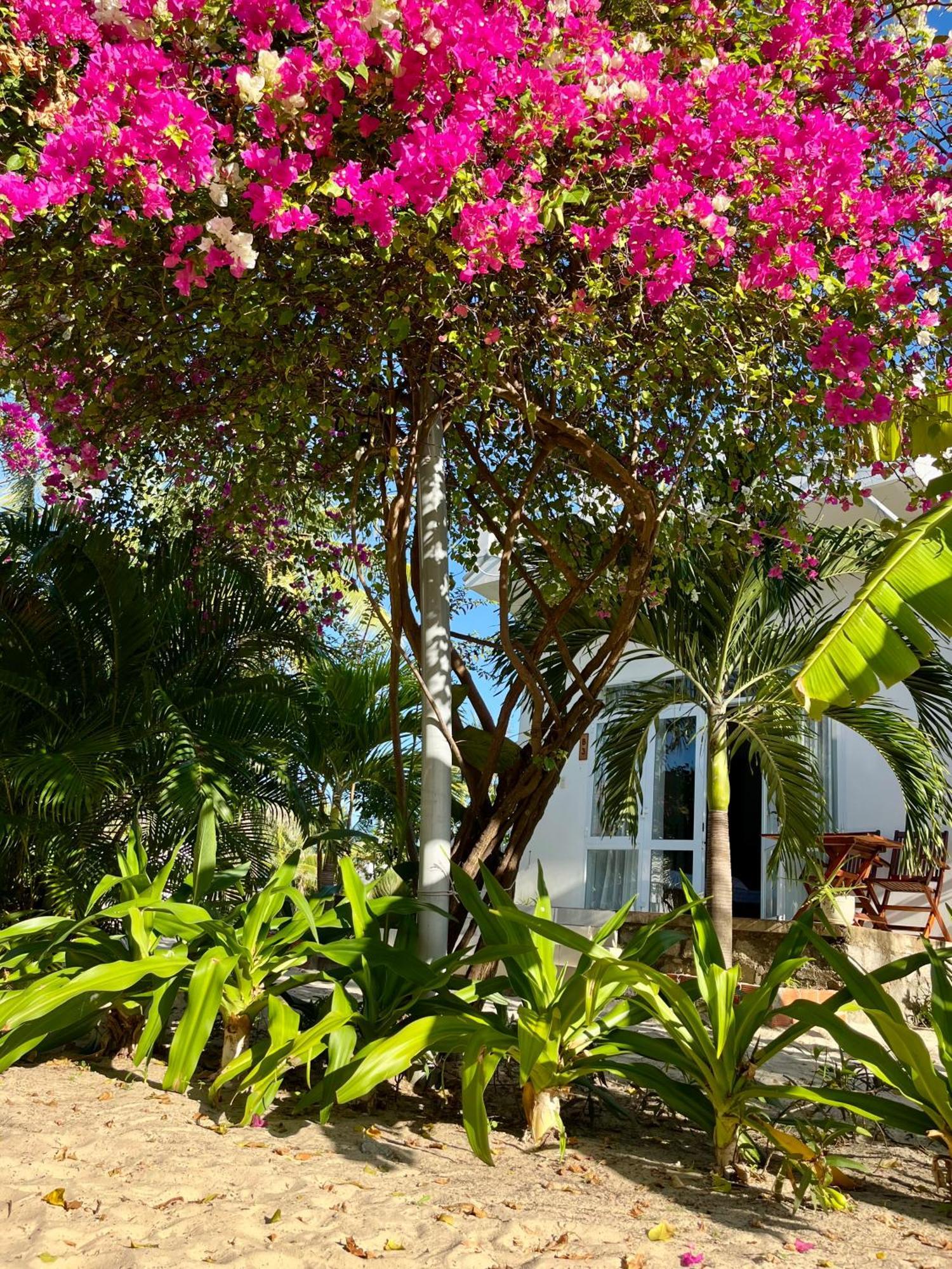 Robinson Beach Bungalow Vinh Hoa Εξωτερικό φωτογραφία